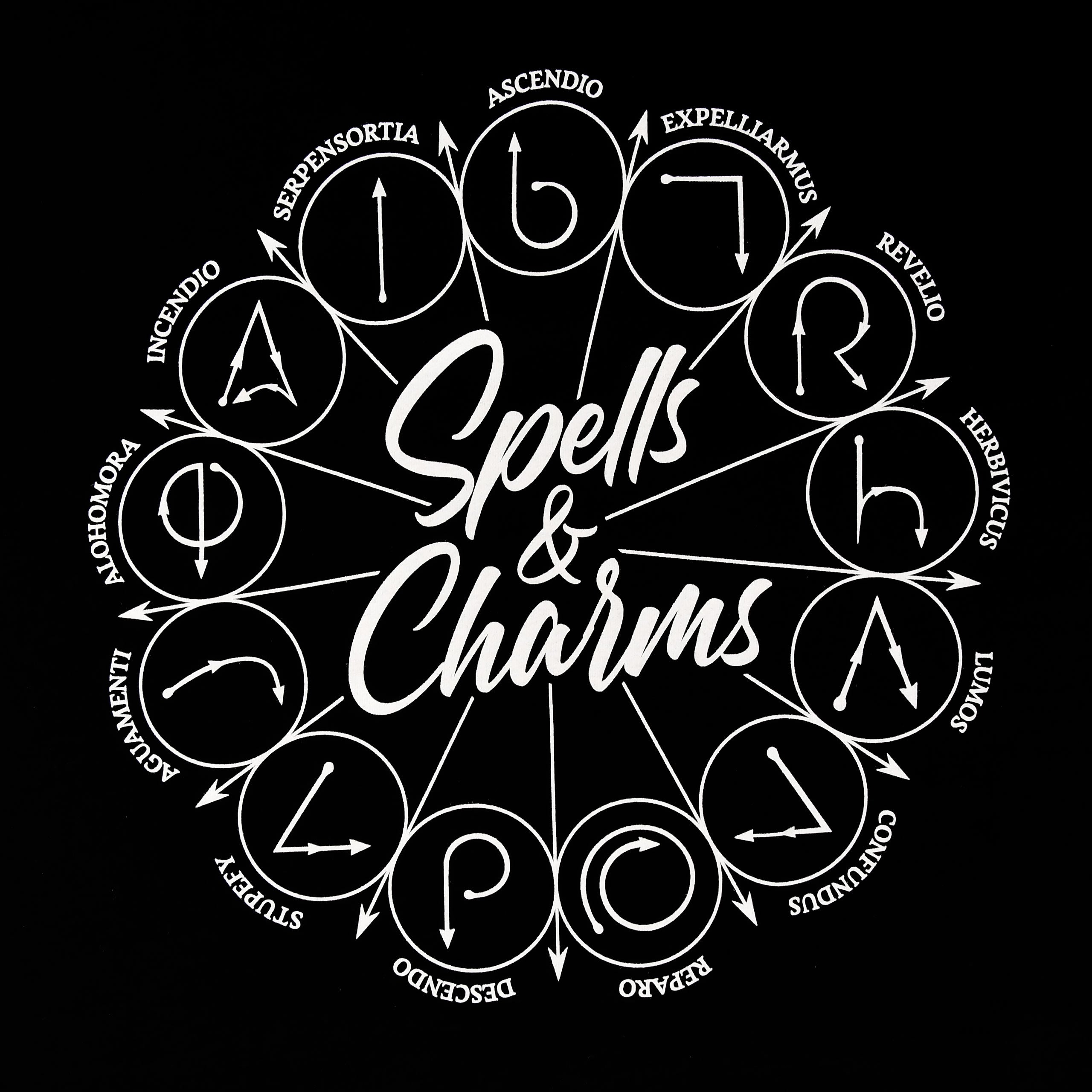 Produktbild Harry Potter - Spells And Charms T-Shirt schwarz