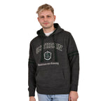 Produktbild Harry Potter - Slytherin Wappen Premium Hoodie grau