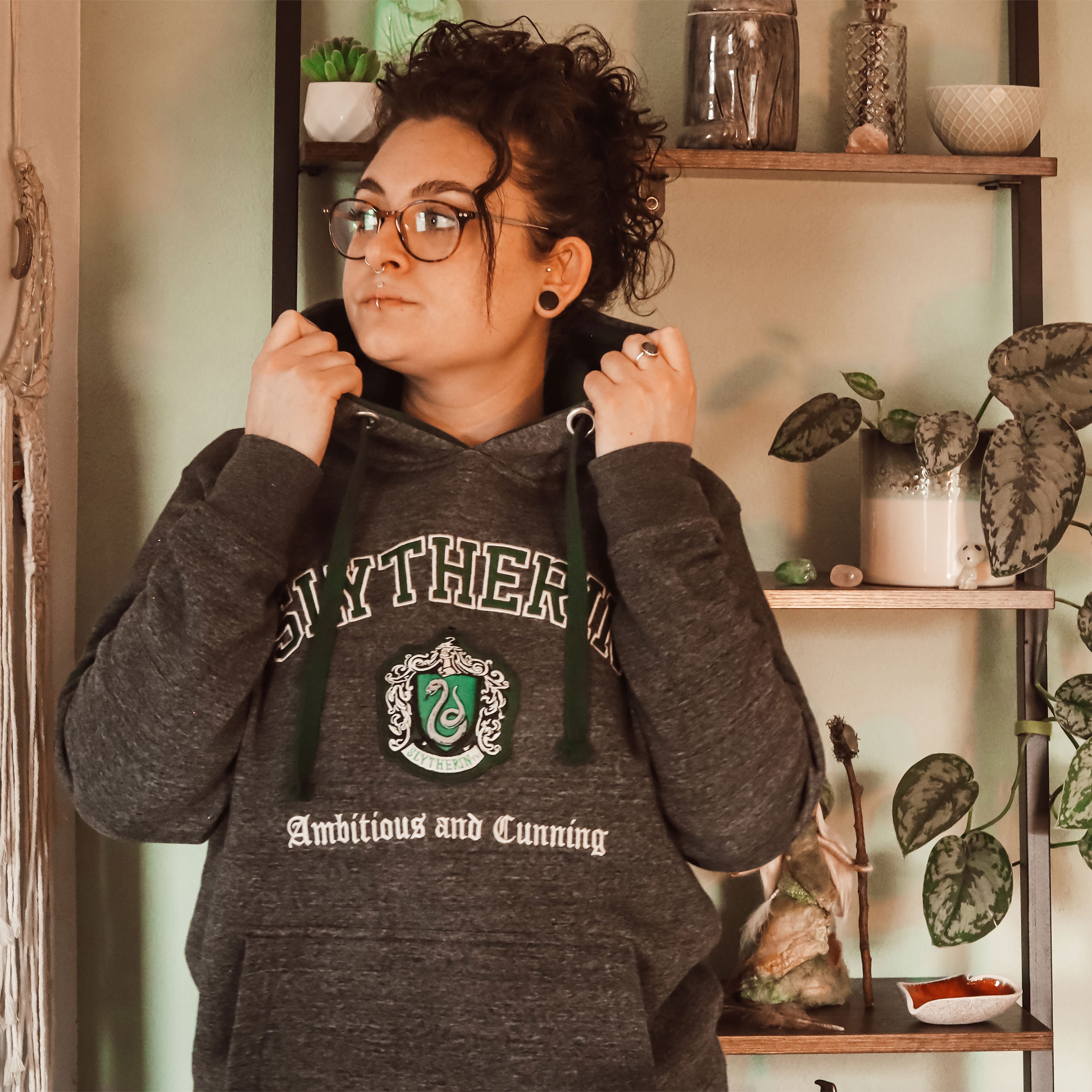 Produktbild Harry Potter - Slytherin Wappen Premium Hoodie grau