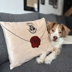Produktbild Harry Potter - Hogwarts Brief Kissen
