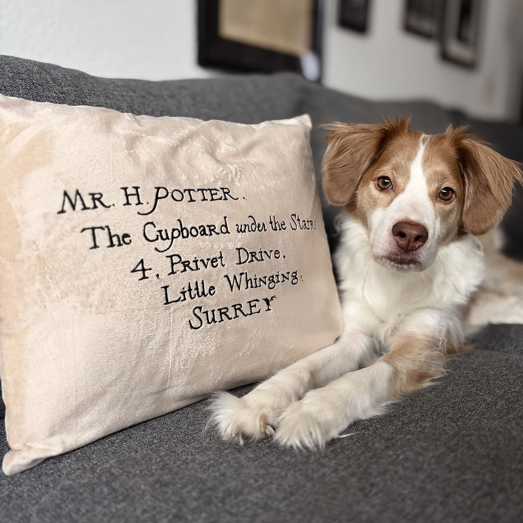 Produktbild Harry Potter - Hogwarts Brief Kissen