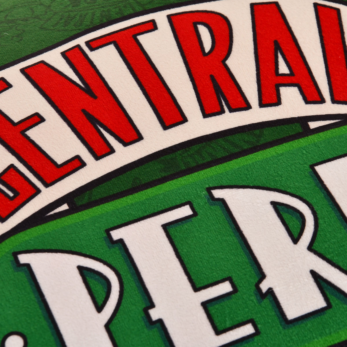 Produktbild Friends - Central Perk Kissen grün