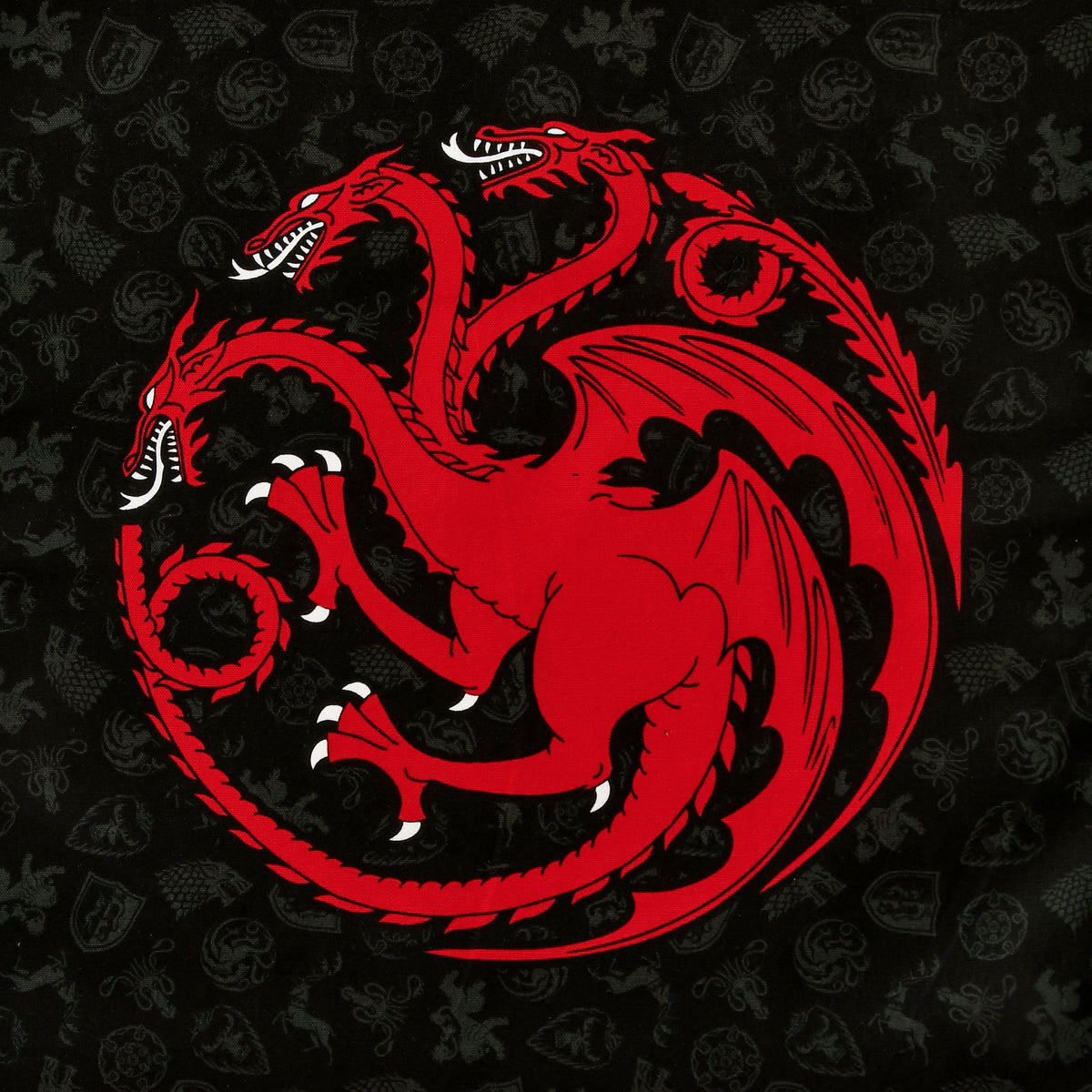 Produktbild Stark und Targaryen Geschirrtücher Set - Game of Thrones
