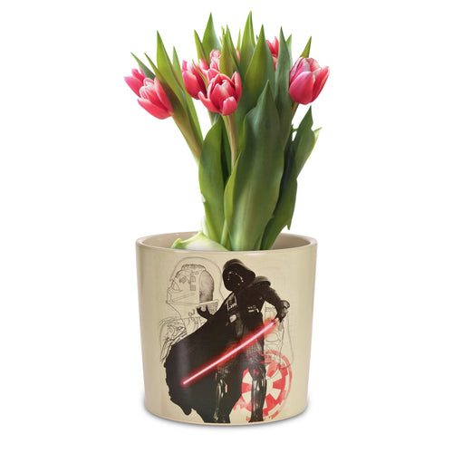 Produktbild Star Wars - Darth Vader Blumentopf