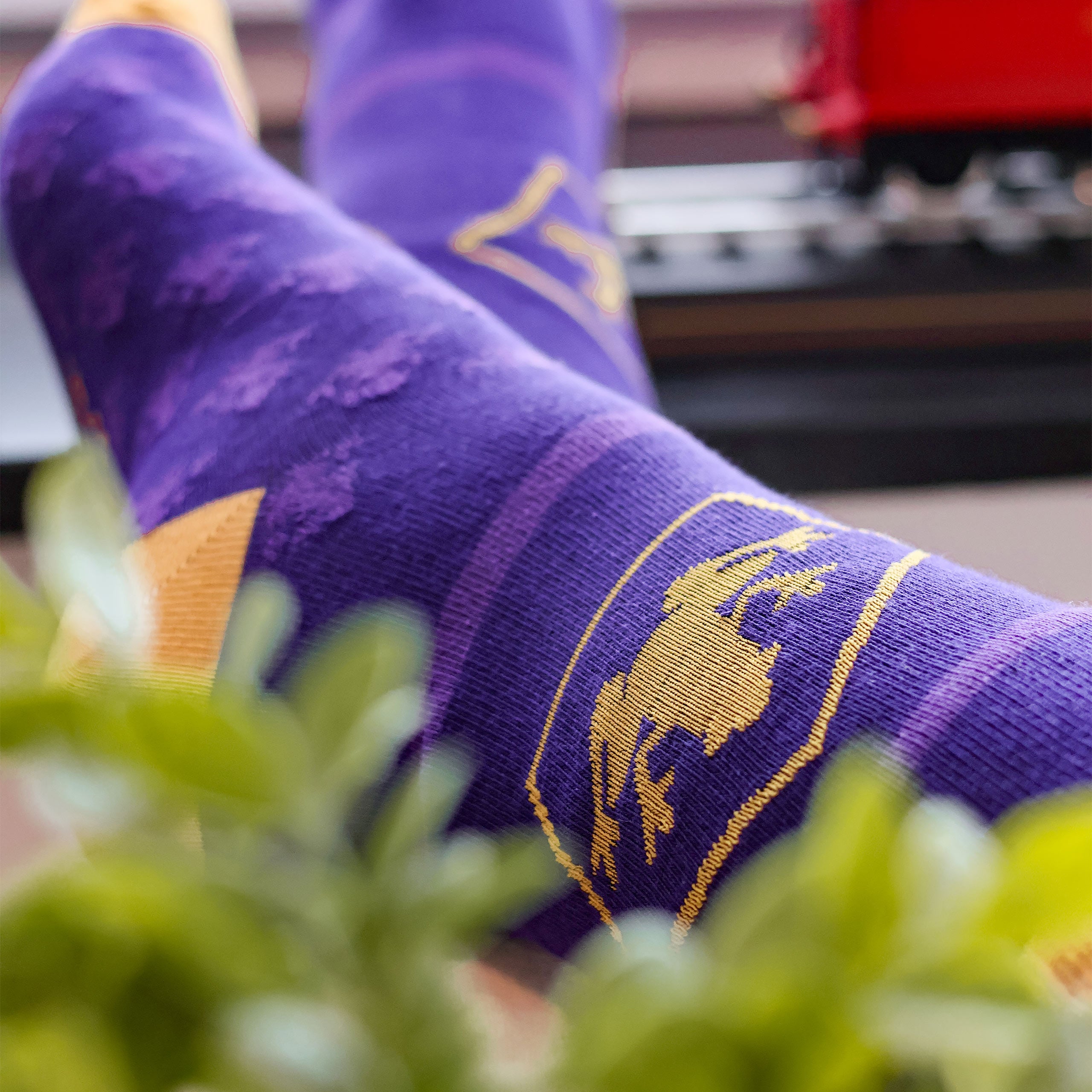 Produktbild Harry Potter - Socken 3er Set in Schokofrosch Box