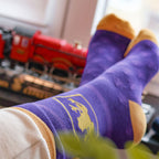 Produktbild Harry Potter - Socken 3er Set in Schokofrosch Box
