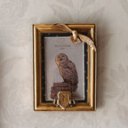 Produktbild Harry Potter - Hedwig Bilderrahmen