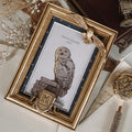 Produktbild Harry Potter - Hedwig Bilderrahmen