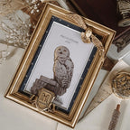 Produktbild Harry Potter - Hedwig Bilderrahmen