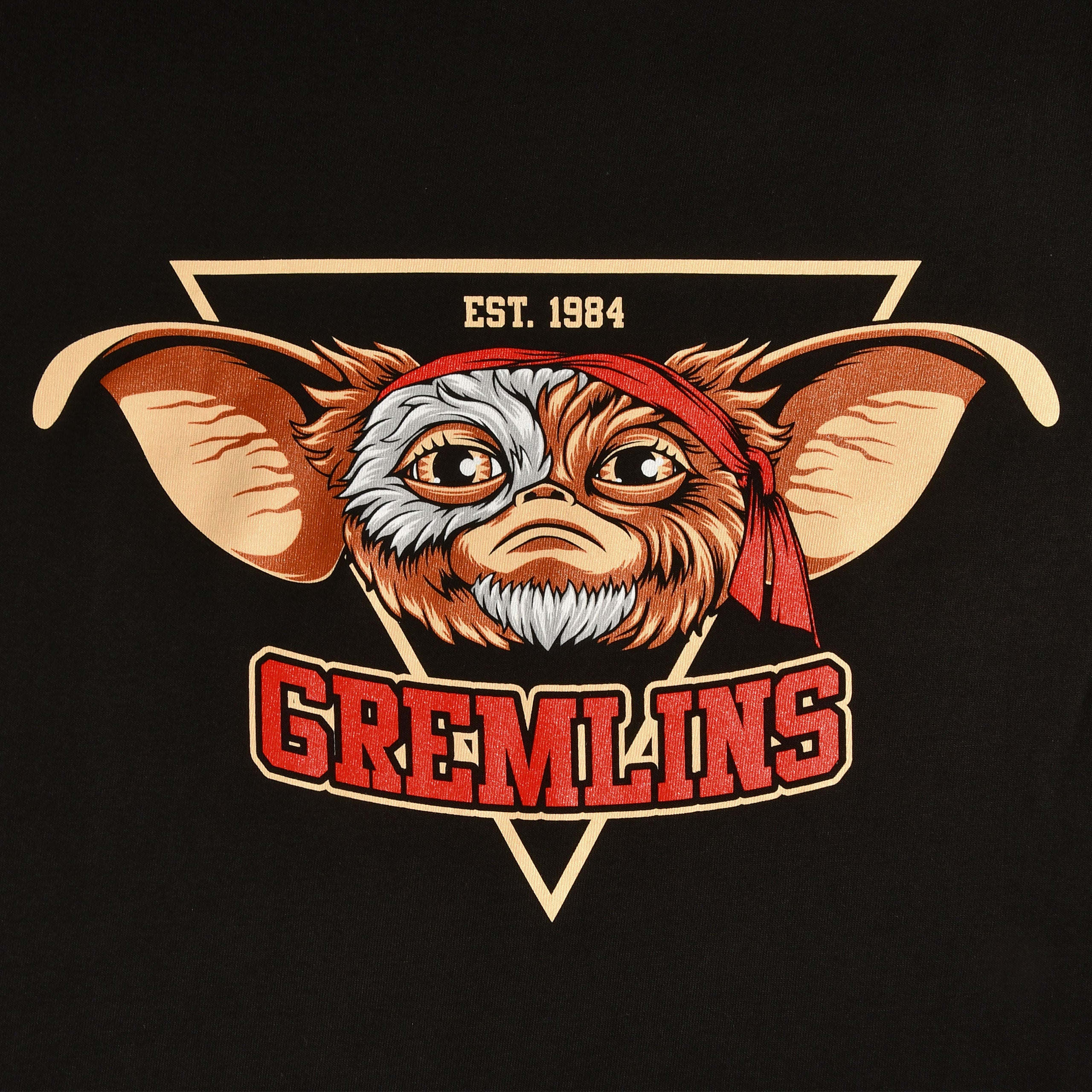 Produktbild Gremlins Est. 1984 T-Shirt schwarz