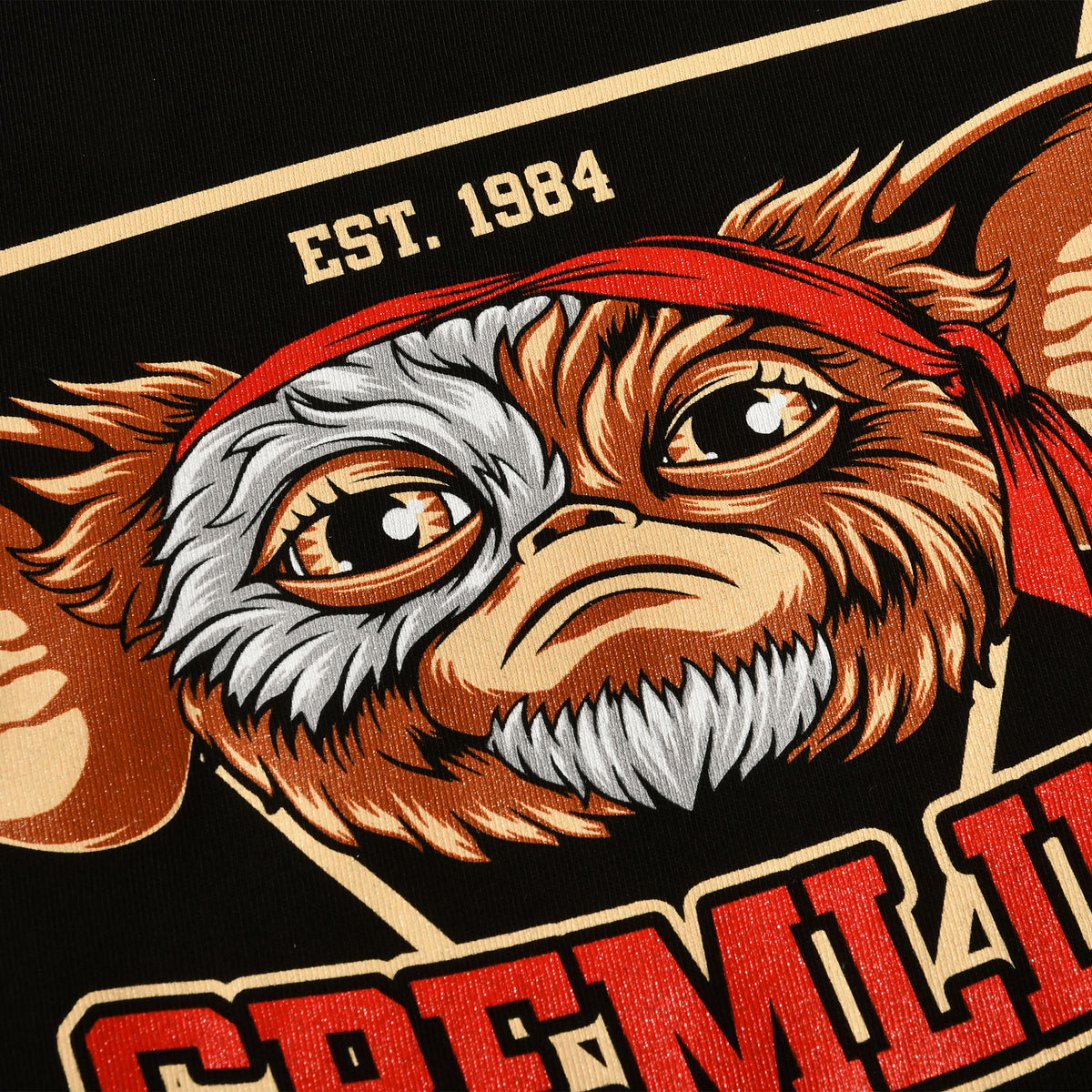 Produktbild Gremlins Est. 1984 T-Shirt schwarz