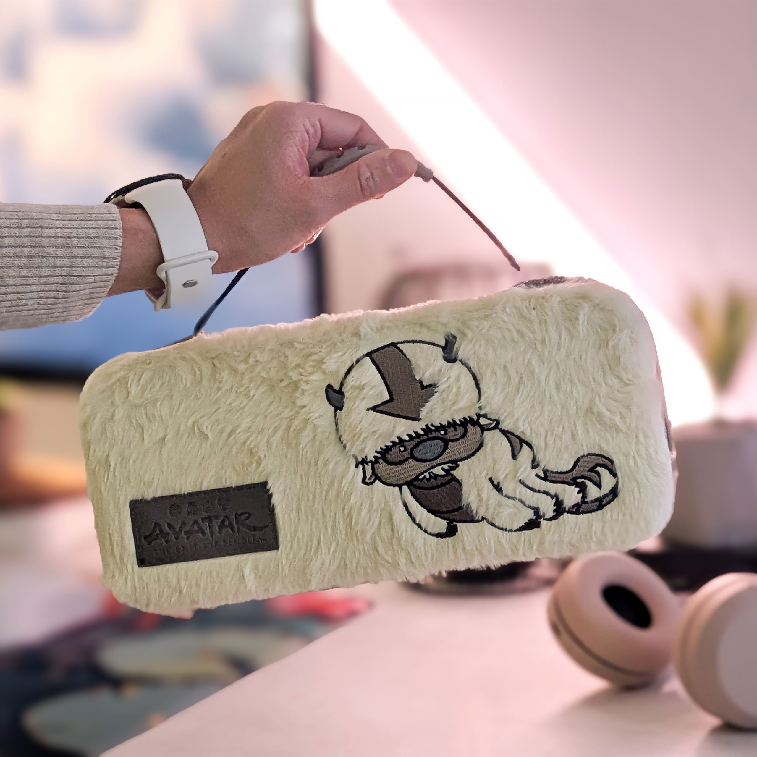 Produktbild Avatar - Appa Plüsch Switch Case