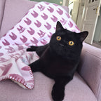 Produktbild Kikis kleiner Lieferservice - Jiji Silhouette Flauschdecke mit Teddyfell
