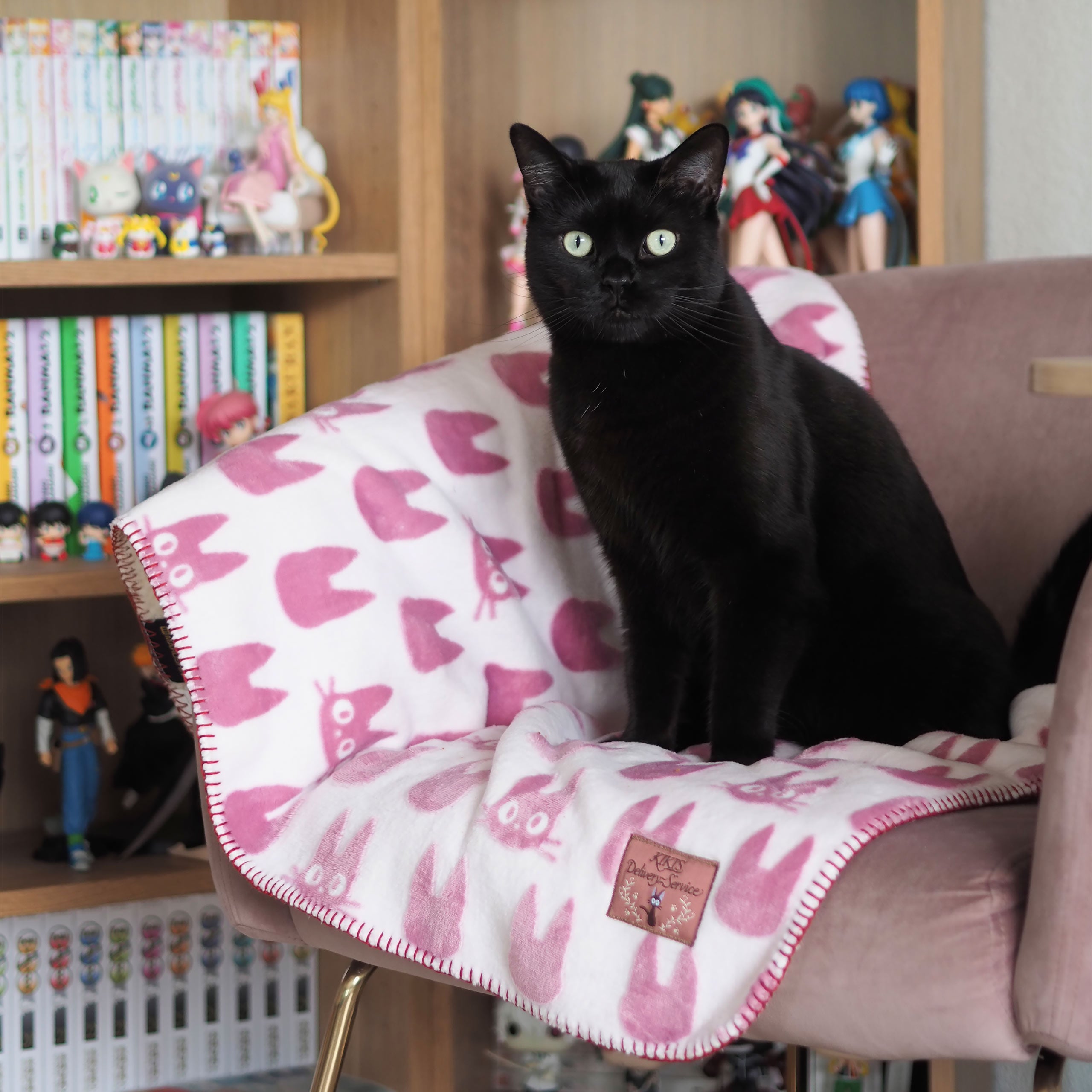 Produktbild Kikis kleiner Lieferservice - Jiji Silhouette Flauschdecke mit Teddyfell
