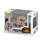 Produktbild Jurassic World - Atrociraptor (Ghost) Funko Pop Figur