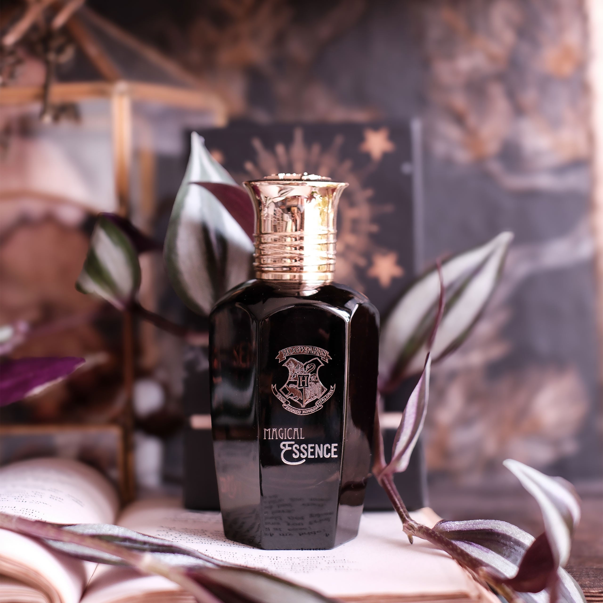Produktbild Harry Potter - Magical Essence Ambiton Eau de Parfum