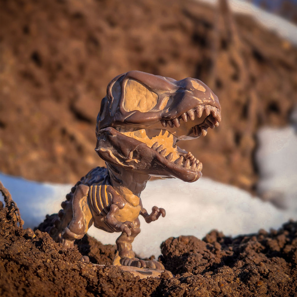 Produktbild Jurassic World - Fossil Tyrannosaurus Funko Pop Figur