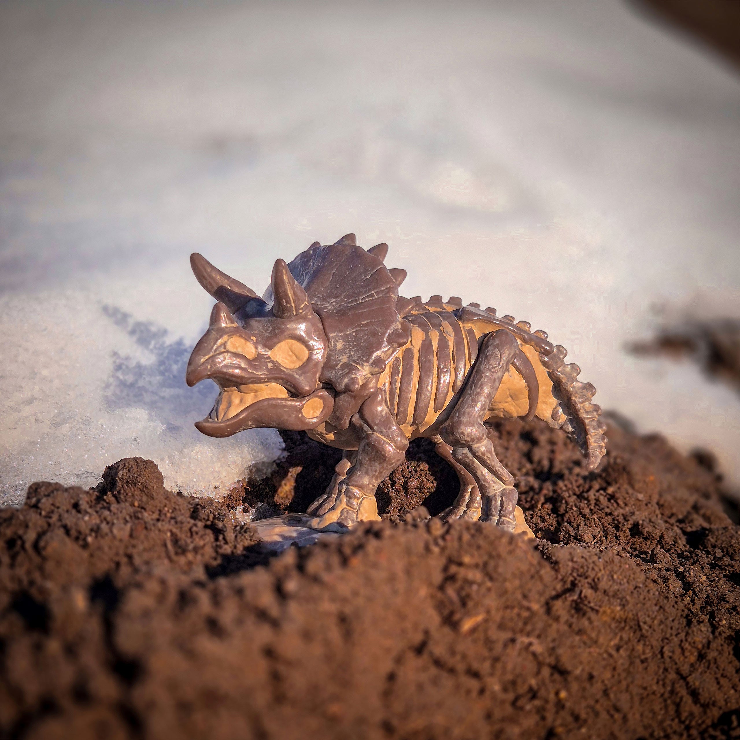 Produktbild Jurassic World - Fossil Triceratops Funko Pop Figur