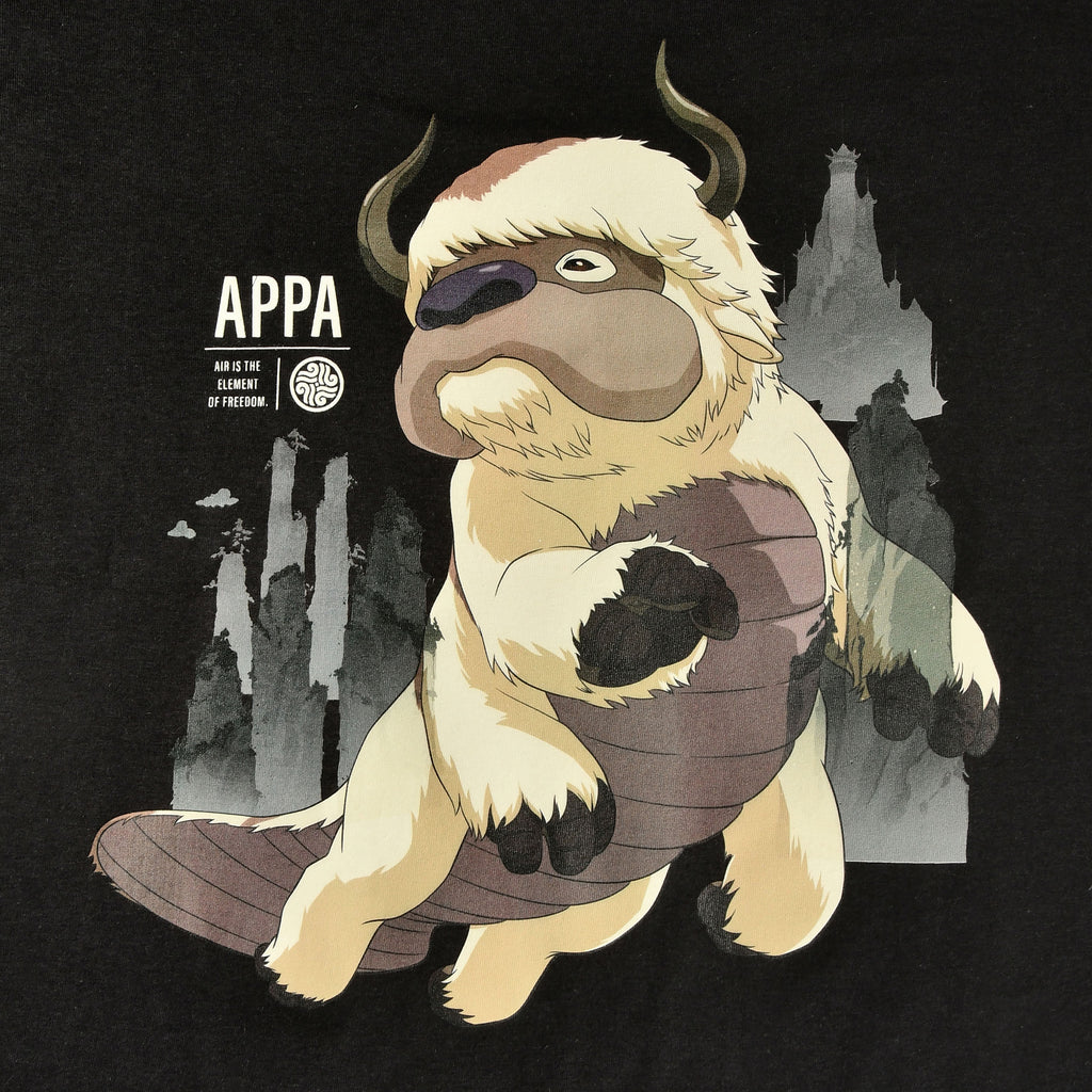 Produktbild Avatar The Last Airbender - Flying Appa T-Shirt schwarz