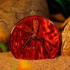 Produktbild Jurassic Park - Medaillon und Pin Geschenkbox limitiert