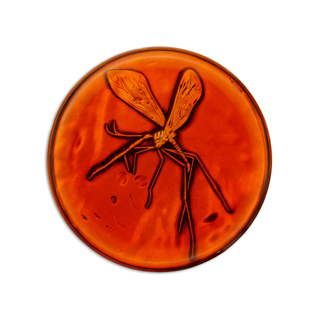 Produktbild Jurassic Park - Medaillon und Pin Geschenkbox limitiert