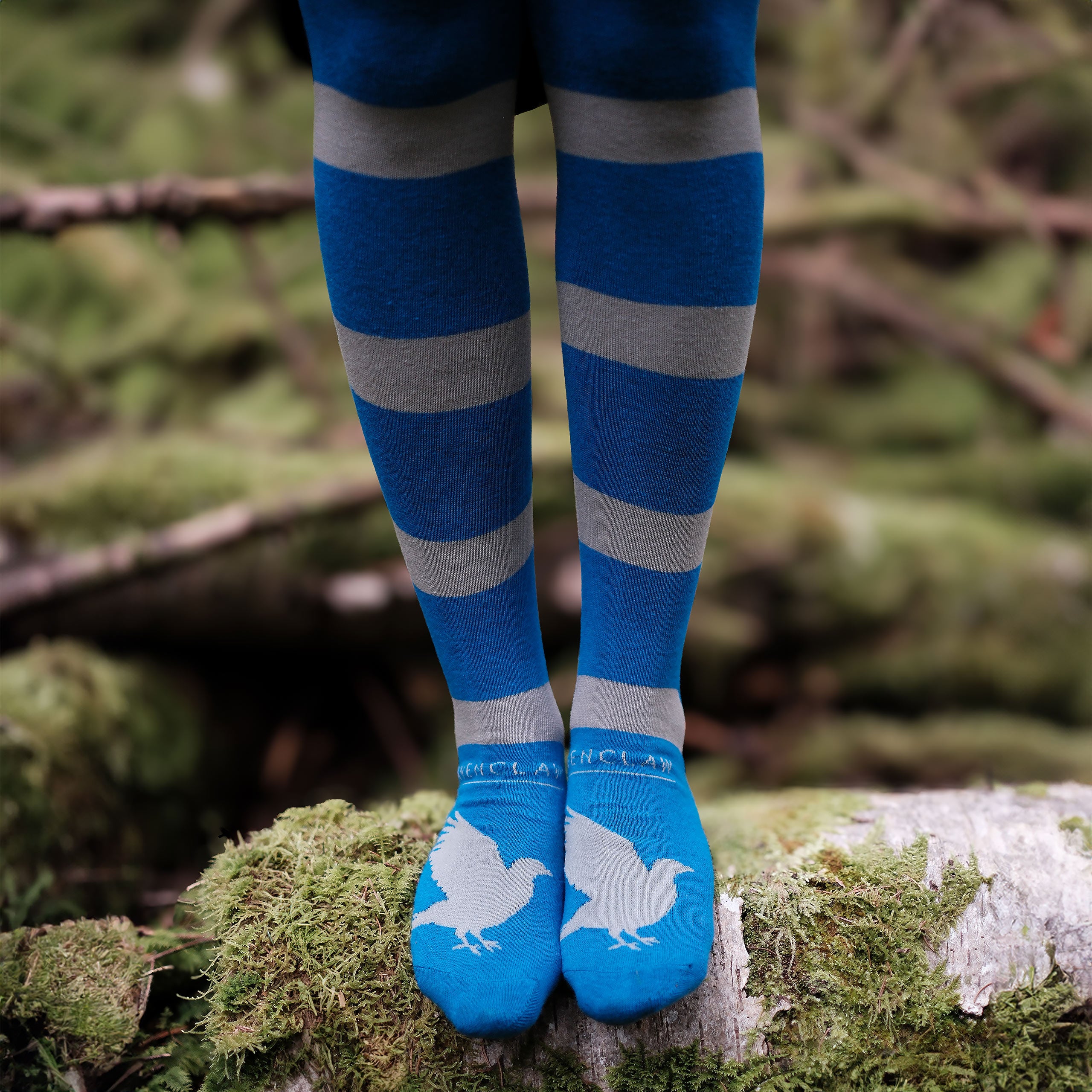 Produktbild Harry Potter - Ravenclaw Overknee Strümpfe 2er Set