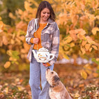 Produktbild Gilmore Girls - Dragonfly Inn Teapot Crossbody Tasche