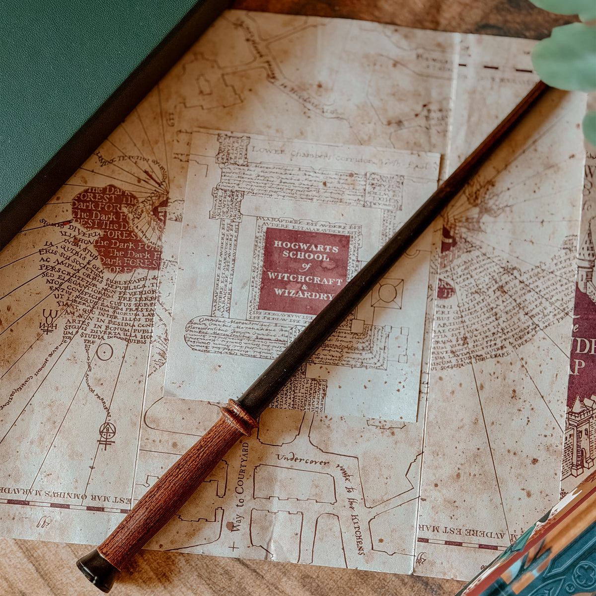 Produktbild Harrys erster Zauberstab - Harry Potter First Wands Collection