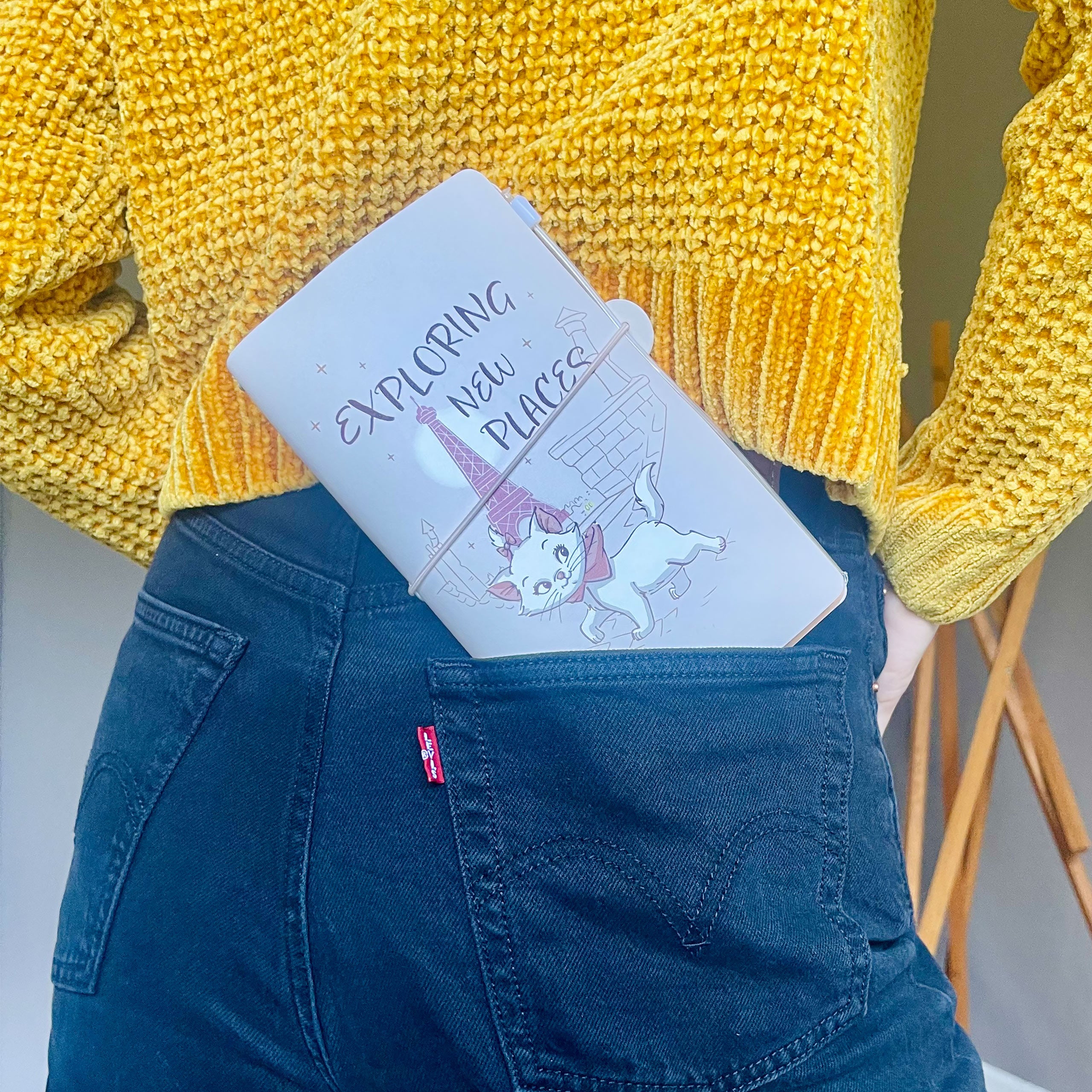 Produktbild Aristocats - Bonjour Marie Notizbuch