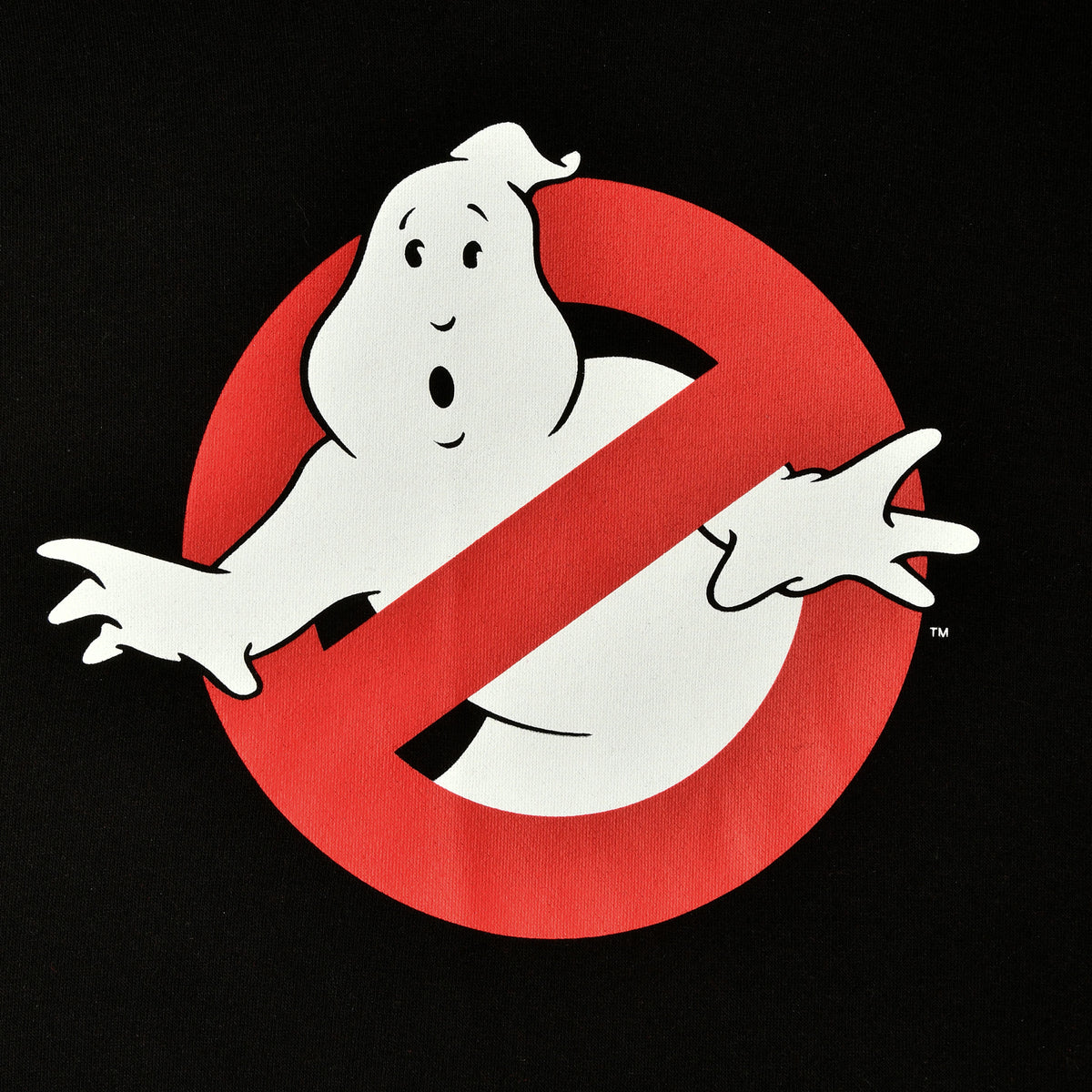 Produktbild Ghostbusters - Ain't Afraid of No Ghost Hoodie