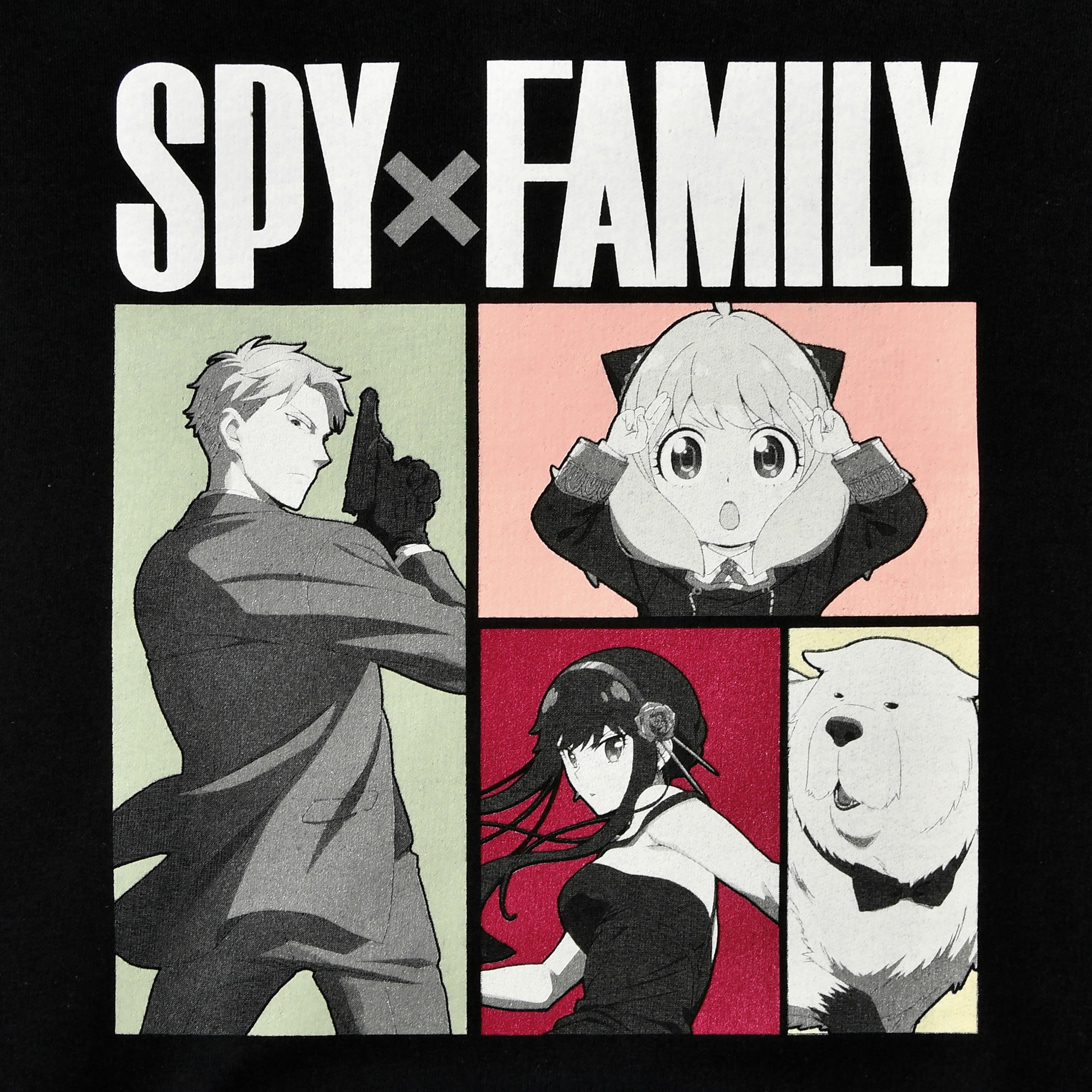 Produktbild Spy x Family - Family Forger Hoodie
