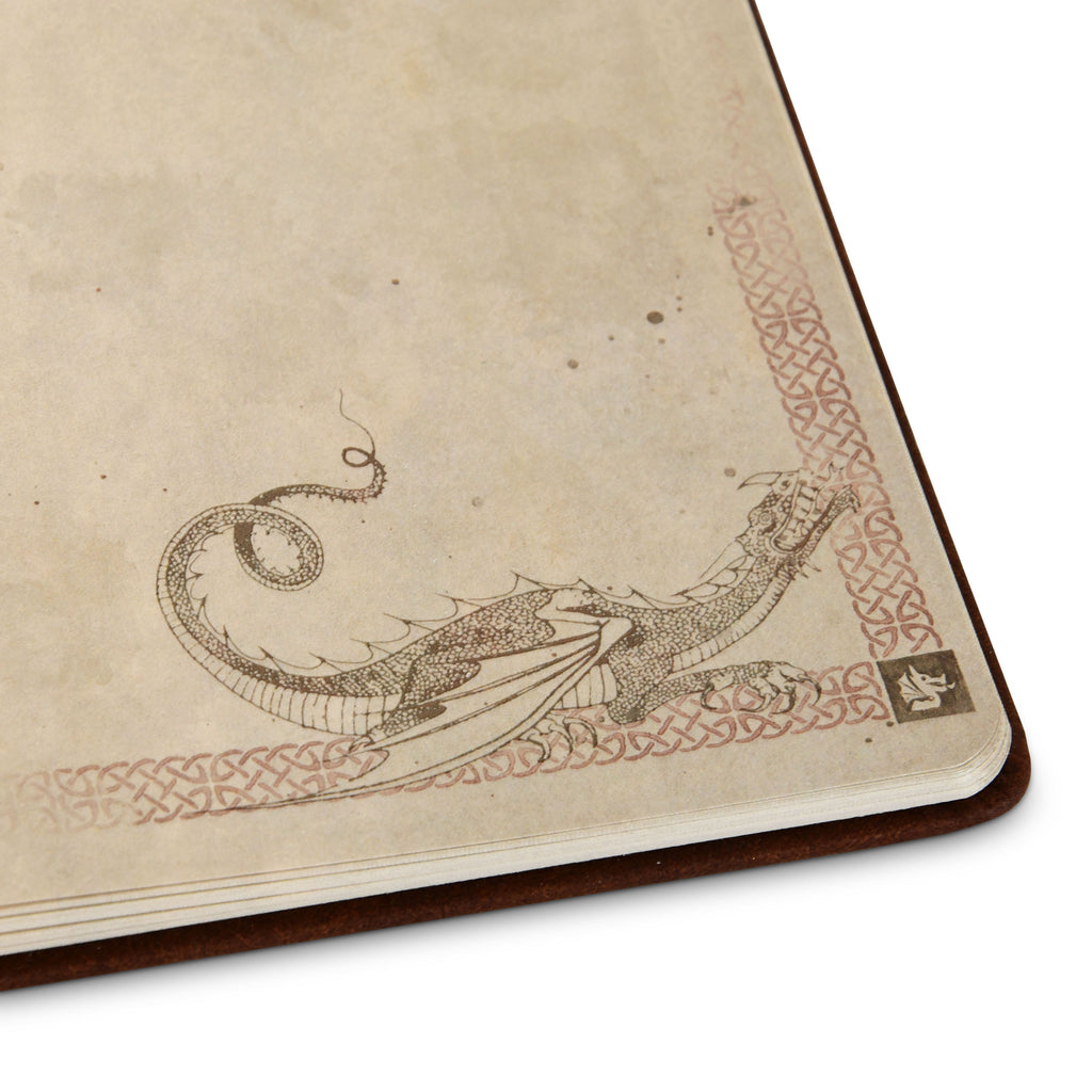 Produktbild Drachenzähmen leicht gemacht - Dragon Notizbuch