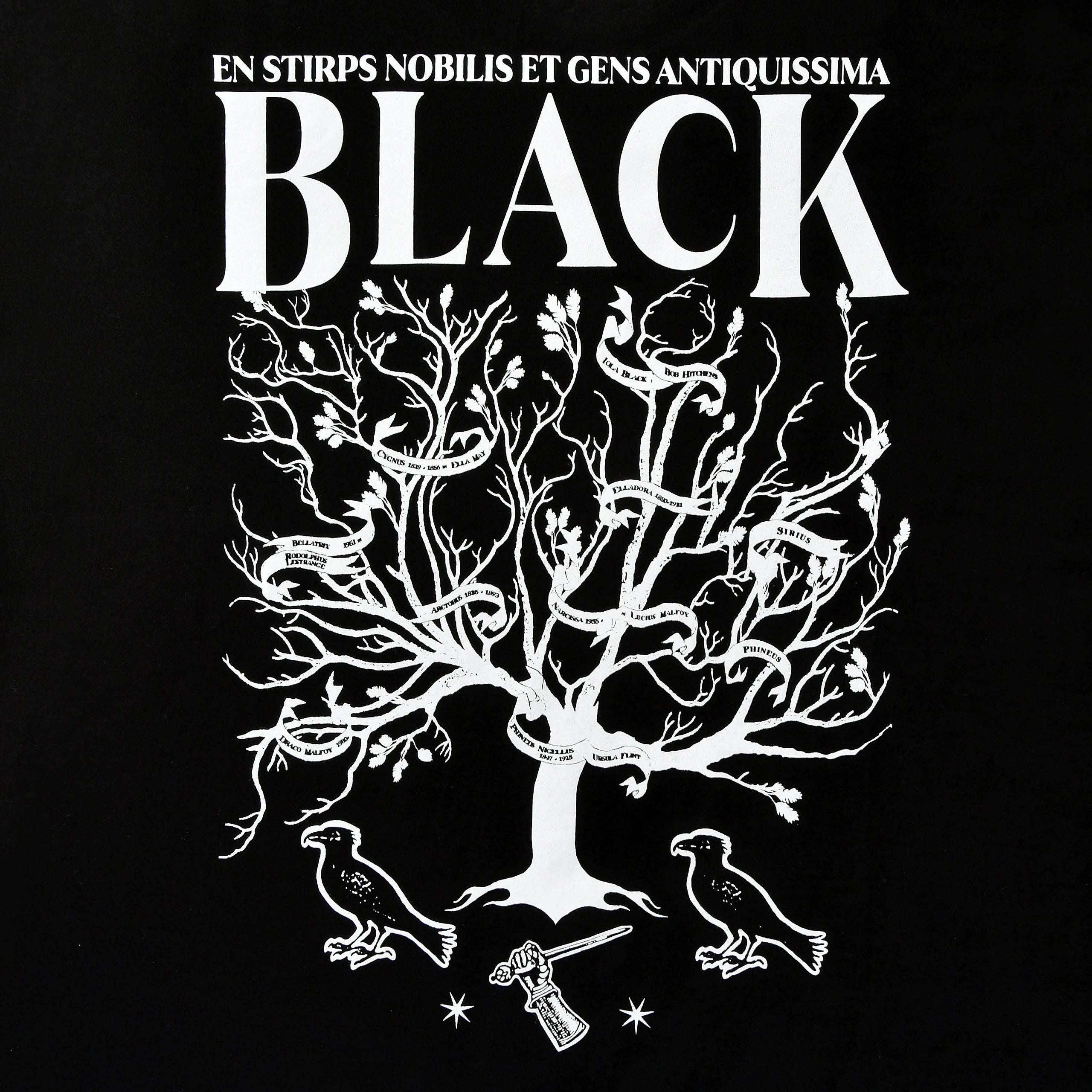 Produktbild Harry Potter - House of Black T-Shirt schwarz