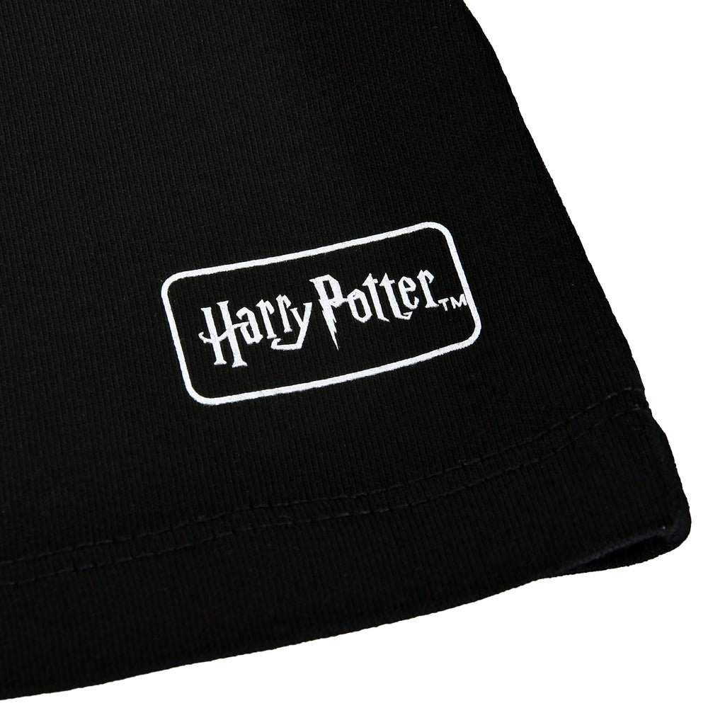 Produktbild Harry Potter - House of Black T-Shirt schwarz