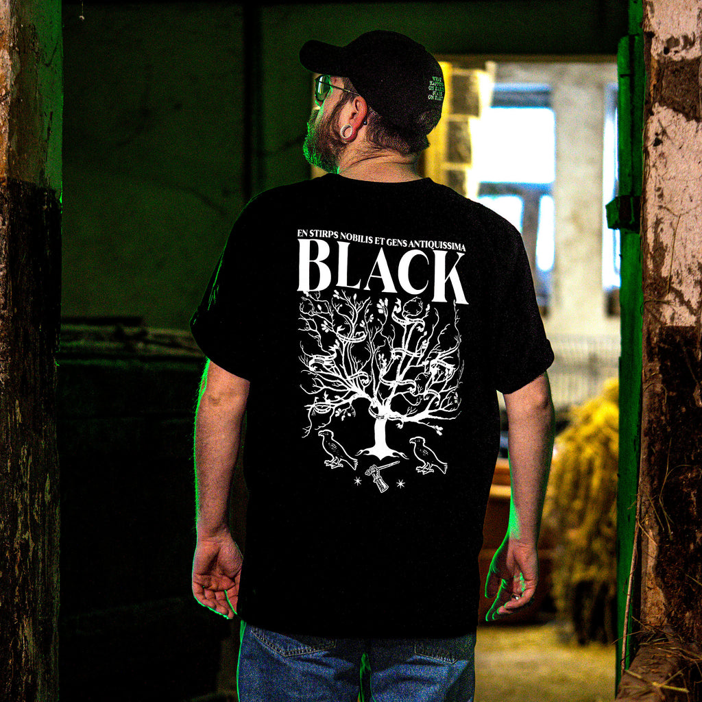 Produktbild Harry Potter - House of Black T-Shirt schwarz