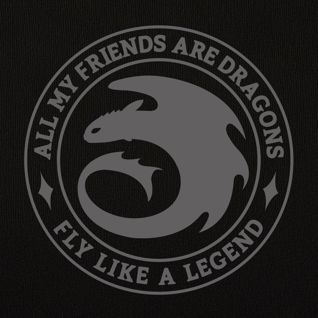 Product image How to Train Your Dragon - Night Fury Legend Hoodie black