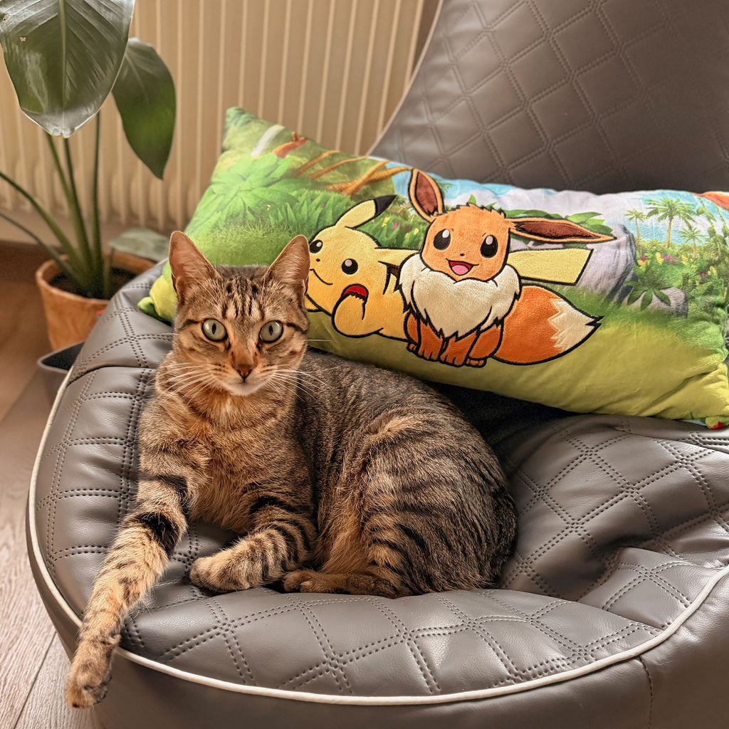Produktbild Pokemon - Pikachu und Evoli Kissen