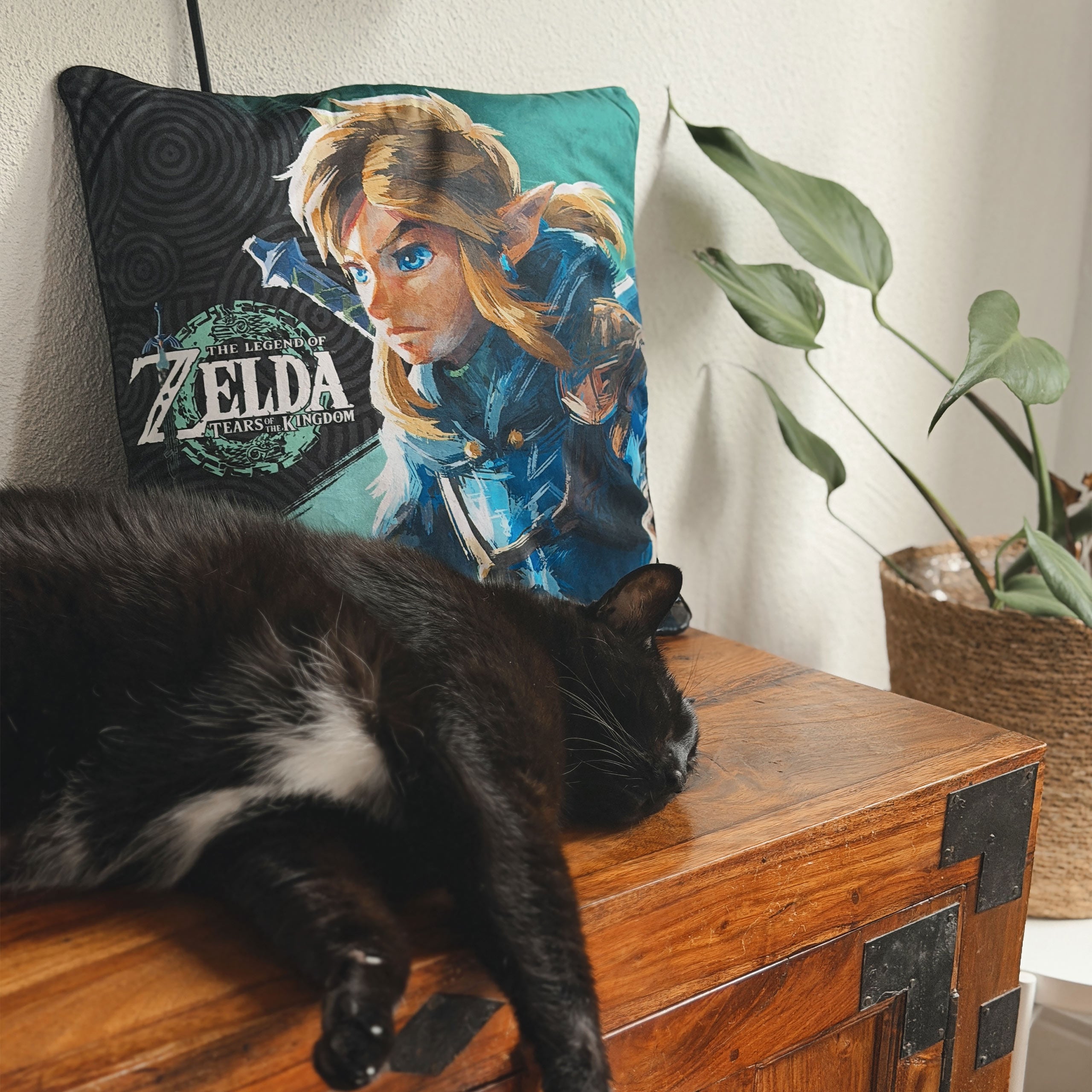 Produktbild Link Kissen - Zelda