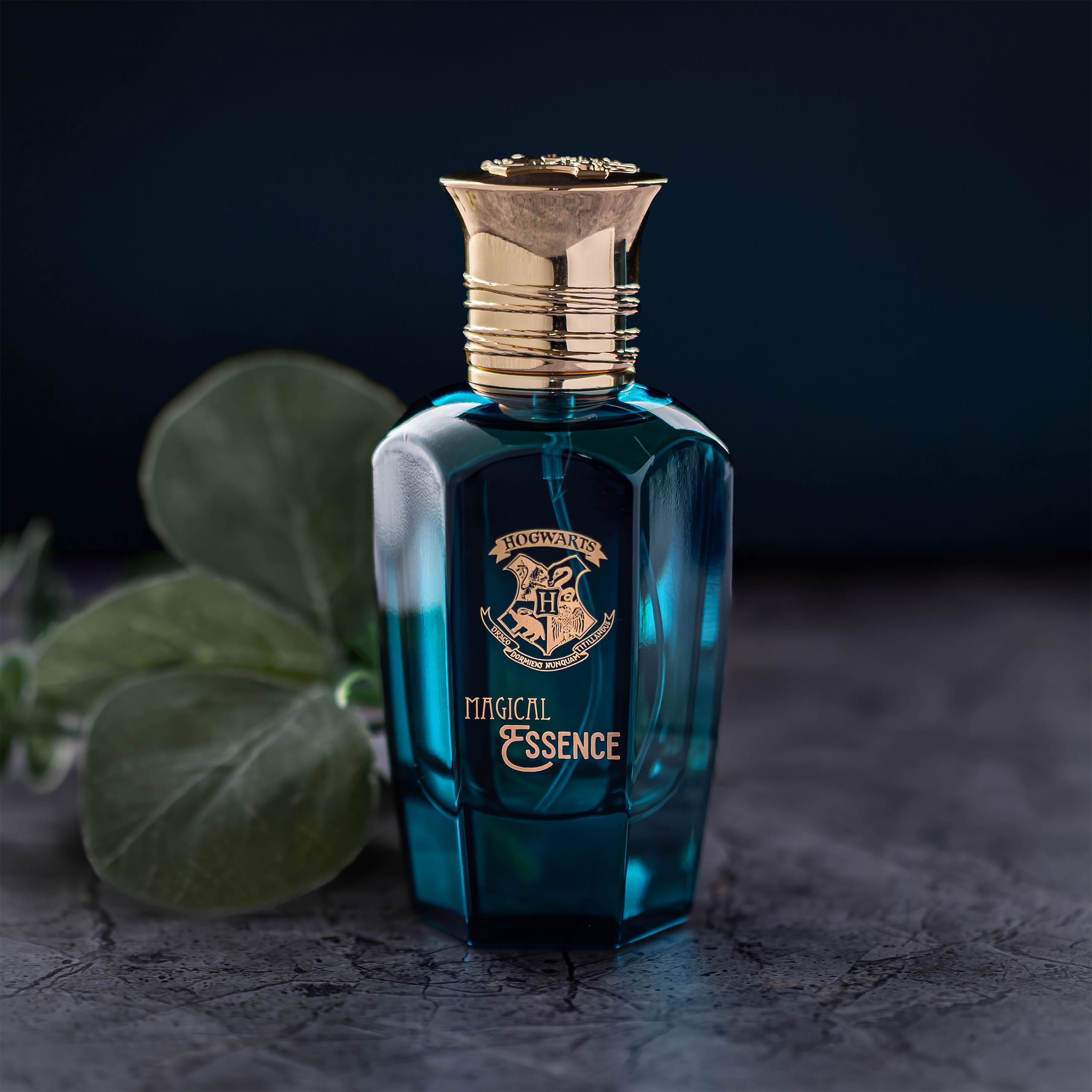 Produktbild Harry Potter - Magical Essence Legendary Eau de Parfum