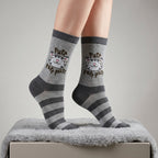 Produktbild The Big Bang Theory - Socken 3er Set in Geschenkbox