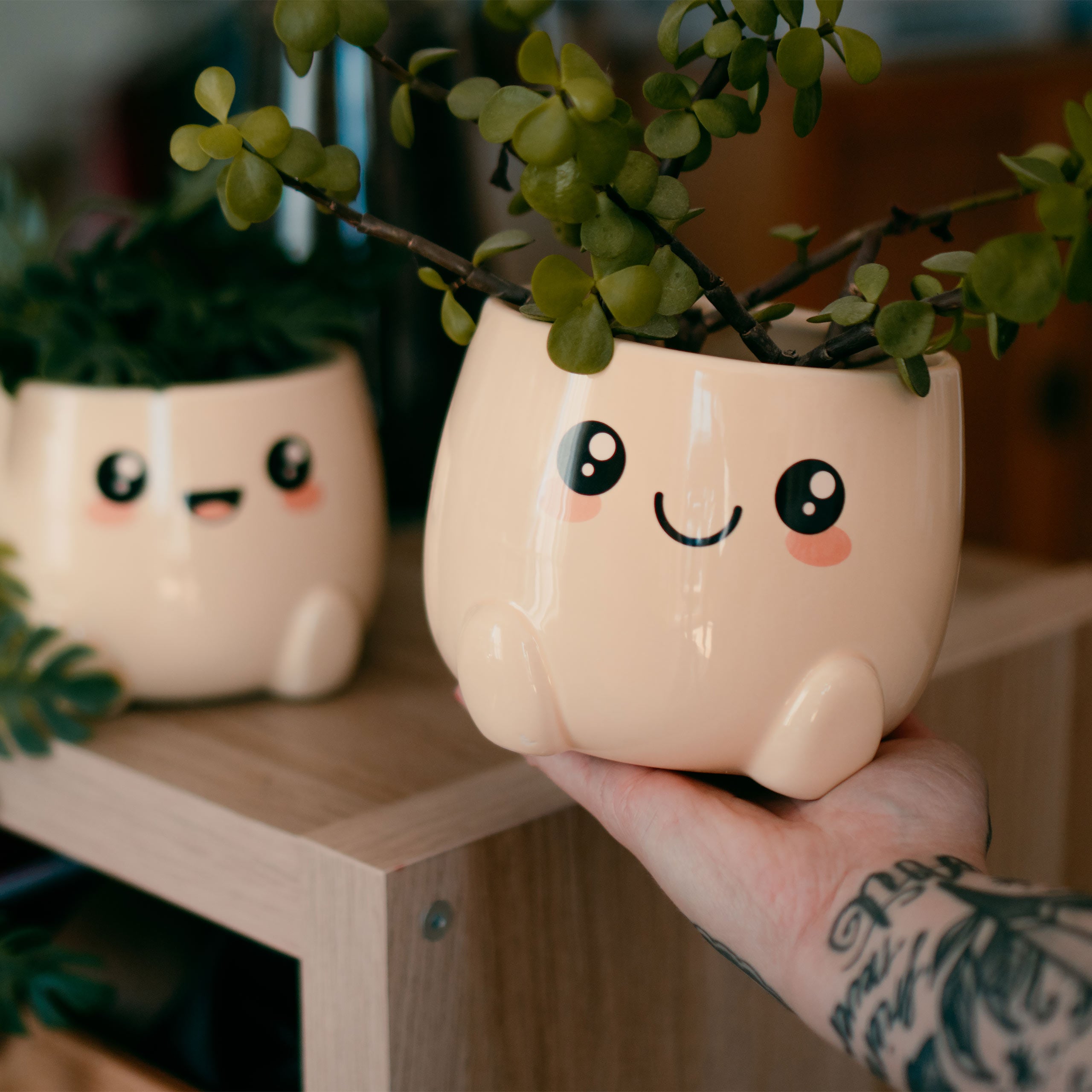 Produktbild Chibi Chow Blumentöpfe 2er Set