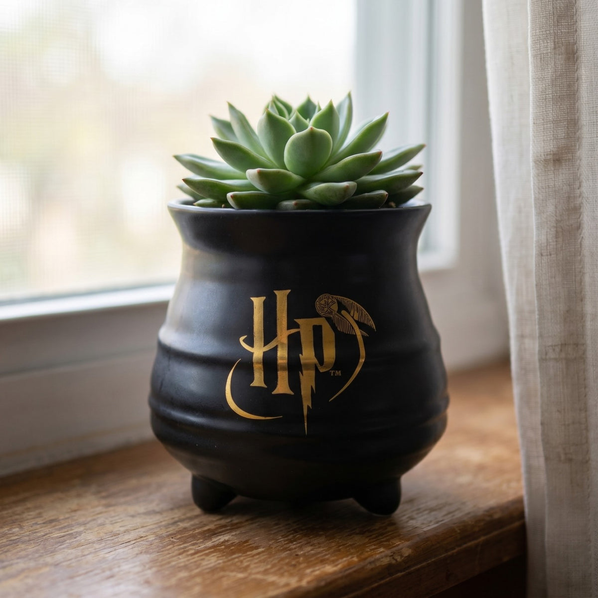 Produktbild Harry Potter - Hogwarts Kessel Blumentopf