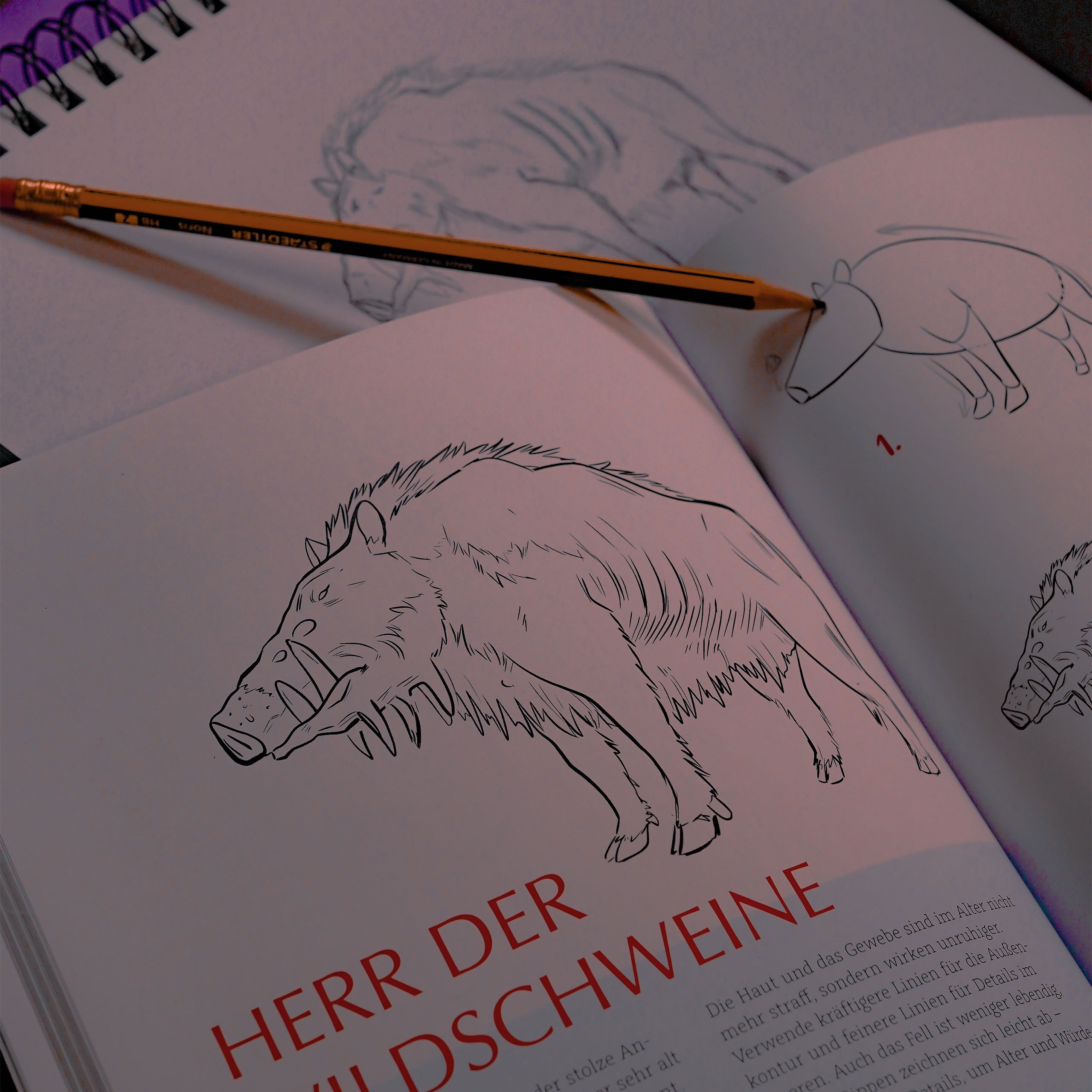 Product image The Unofficial Ghibli Drawing Book