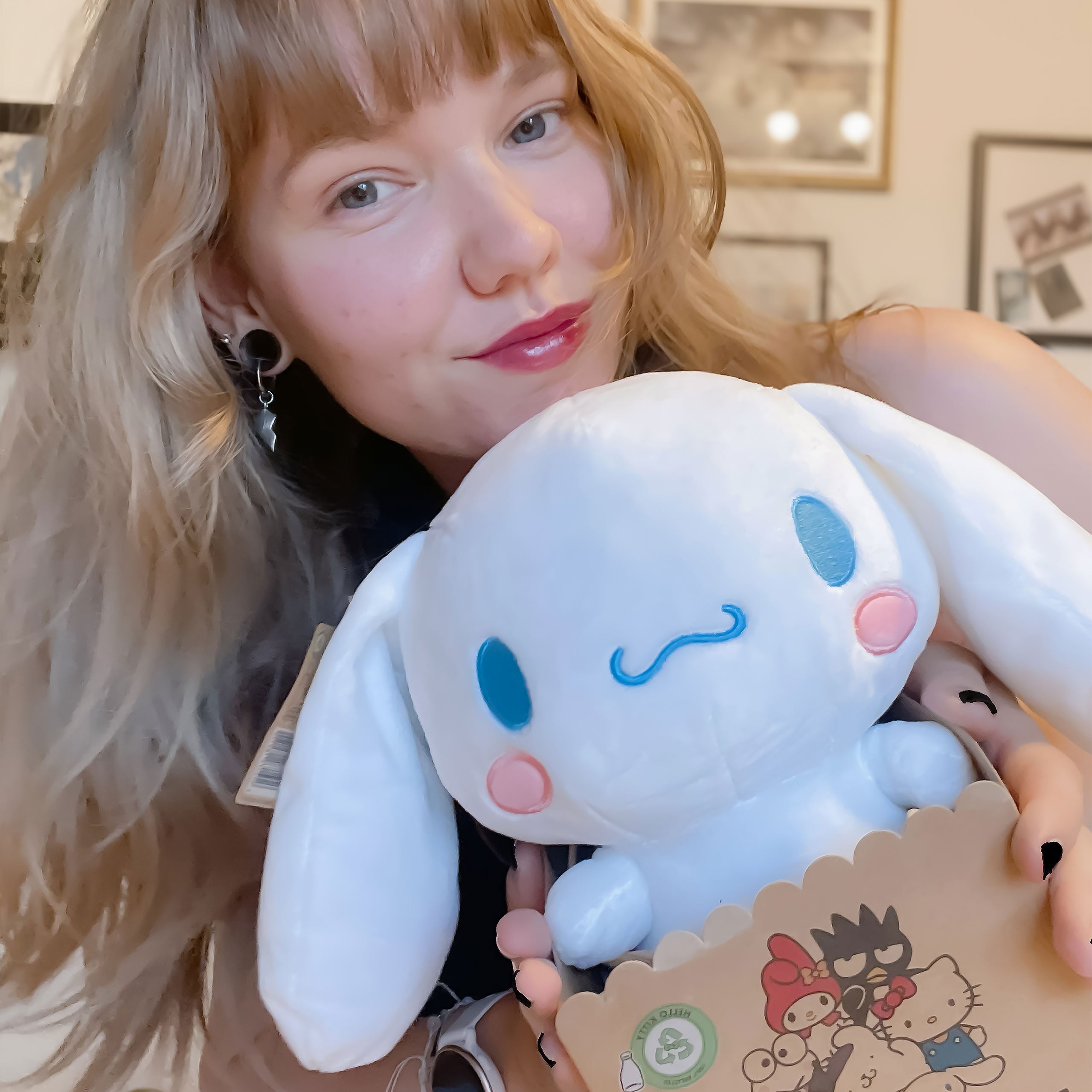 Produktbild Hello Kitty and Frieds - Cinnamoroll Plüsch Figur
