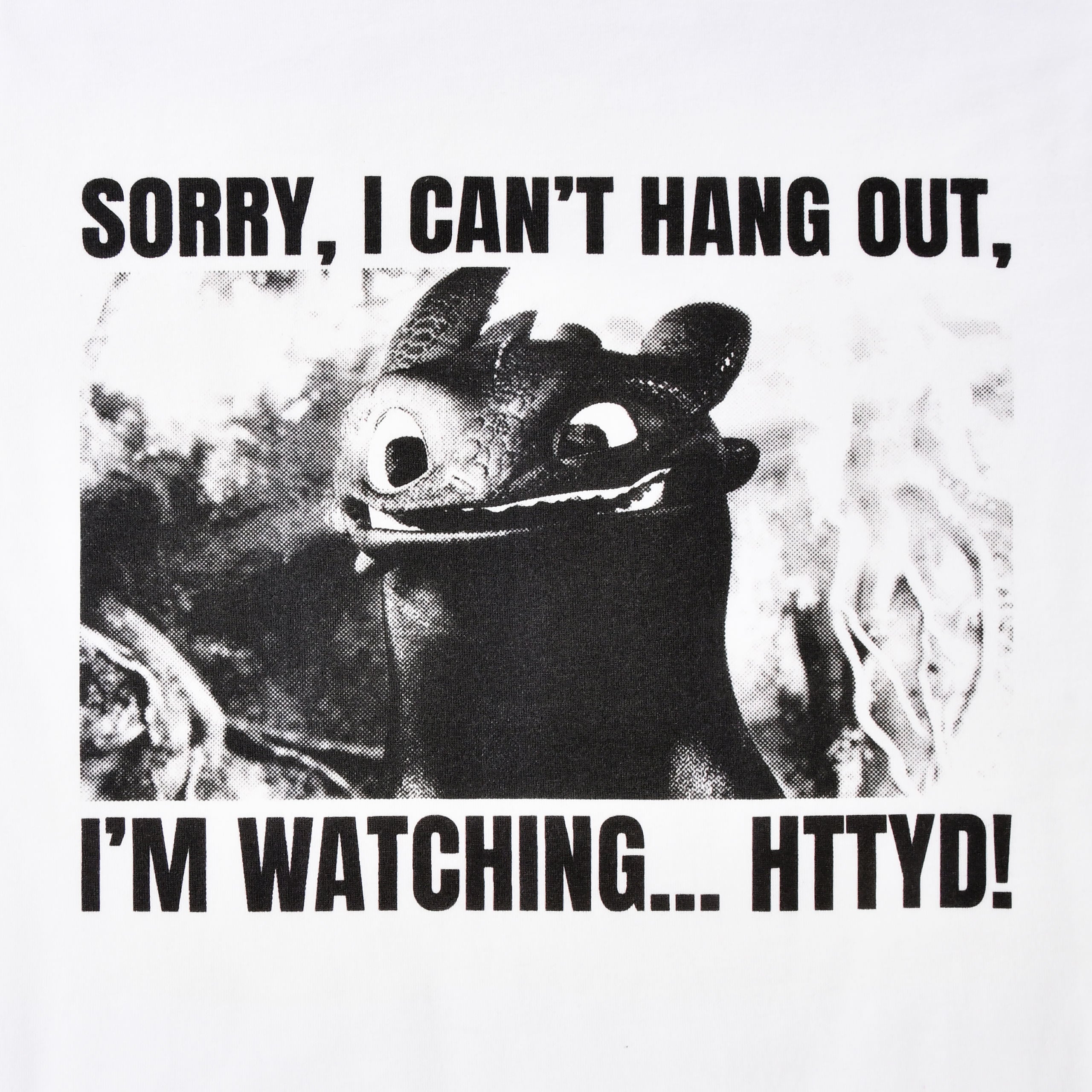 Produktbild Ohnezahn Watching HTTYD T-Shirt - Drachenzähmen leicht gemacht