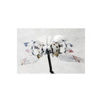 Produktbild Ikaruga - Ginkei Model Kit Figur