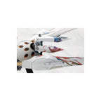 Produktbild Ikaruga - Ginkei Model Kit Figur