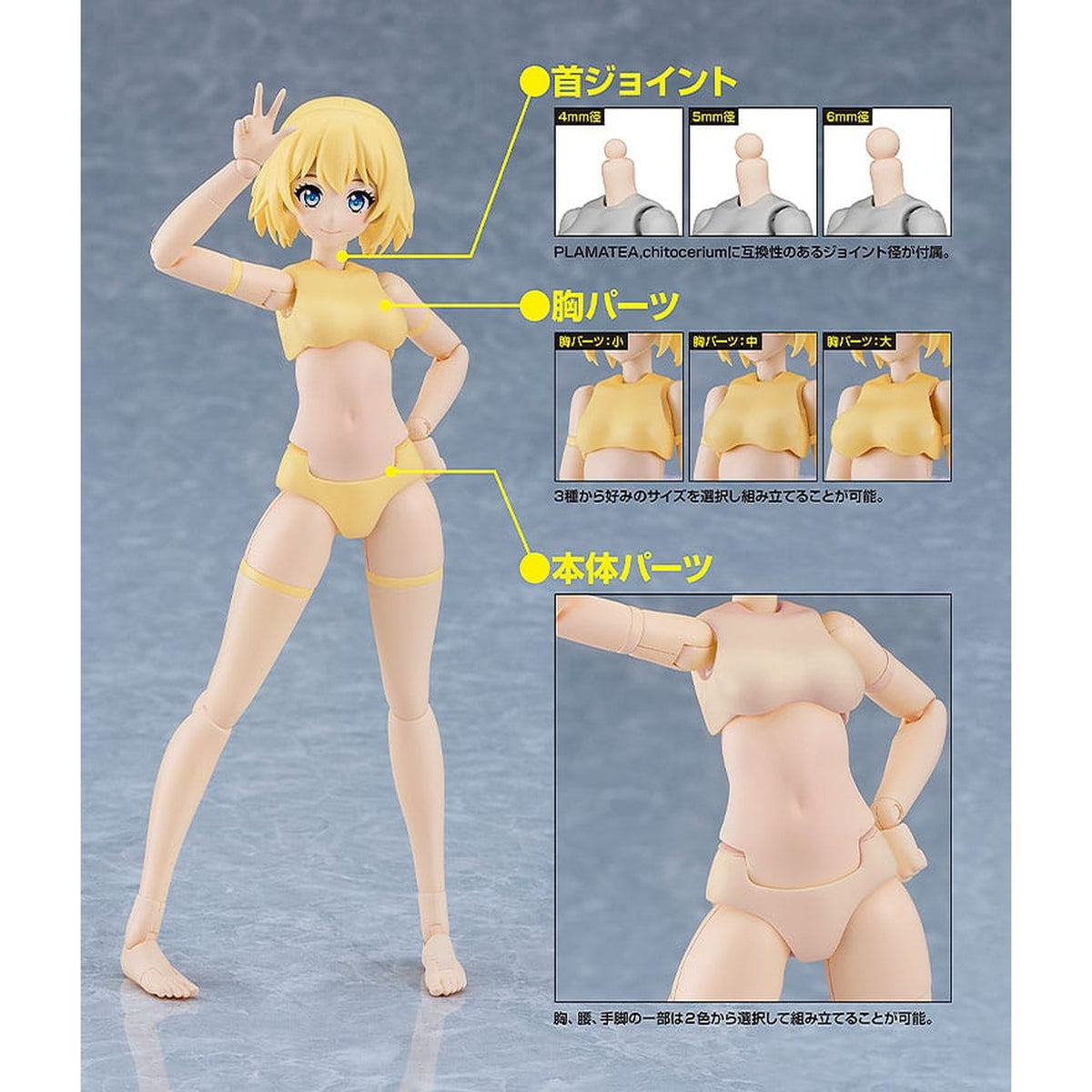 Produktbild PLAMATEA Modellbausatz - Muse Body: Ichika B Type