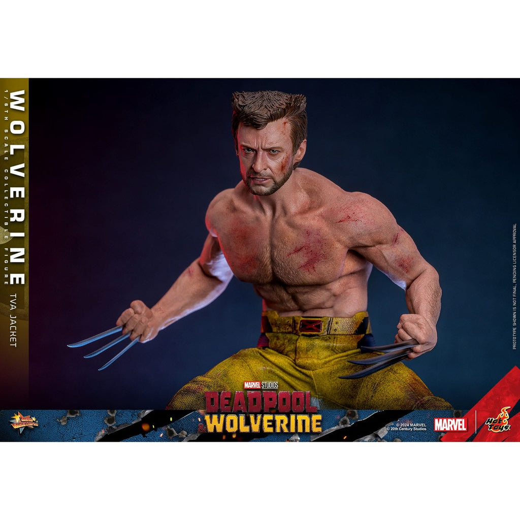 Produktbild Wolverine Masterpiece Actionfigur 1:6 TVA Jacket Version - Deadpool & Wolverine