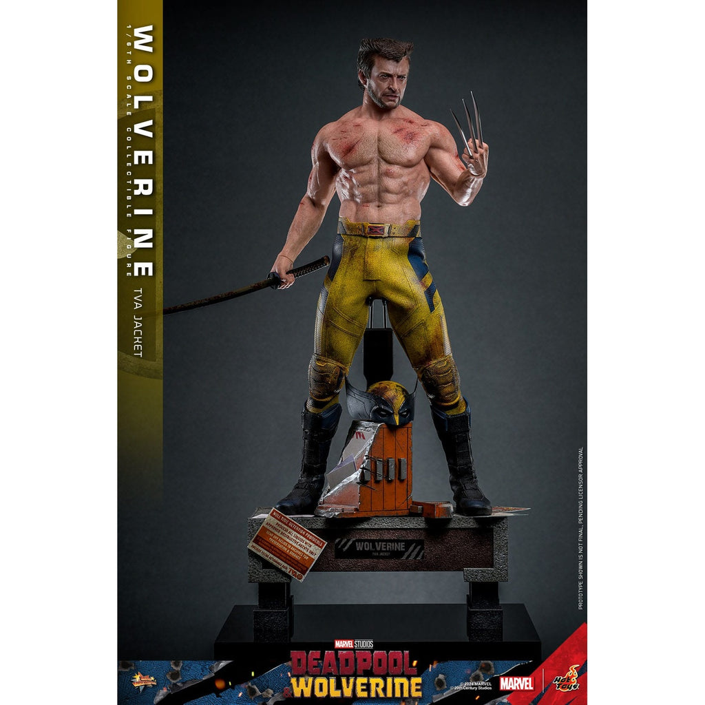 Produktbild Wolverine Masterpiece Actionfigur 1:6 TVA Jacket Version - Deadpool & Wolverine